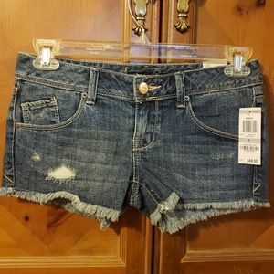 American Rag Low Rise Shorts Size 1
